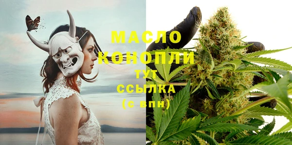 твердый Протвино