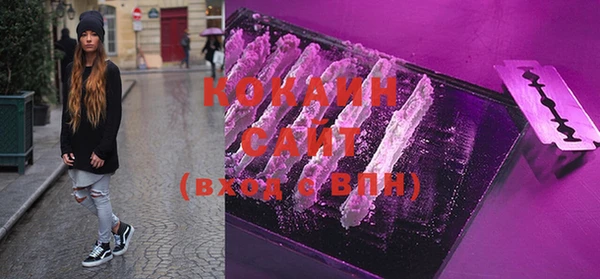 гашик Арсеньев