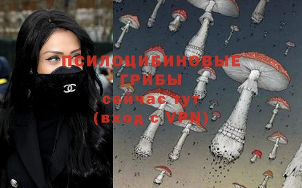 метадон Аркадак