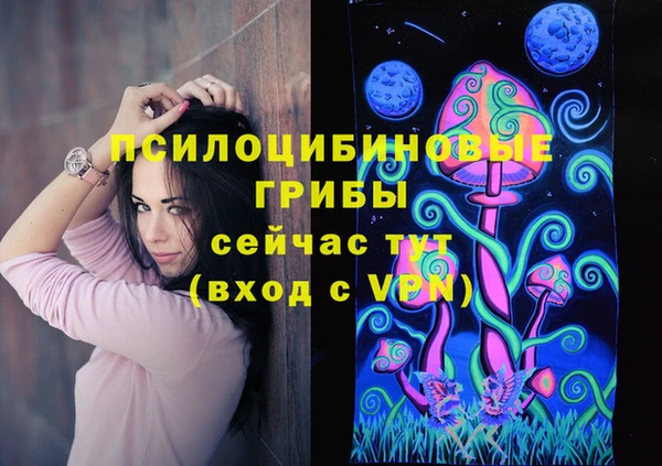 гашик Арсеньев